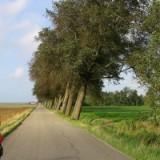 0609F 41 Rotterdam-Leer